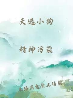 天选小狗